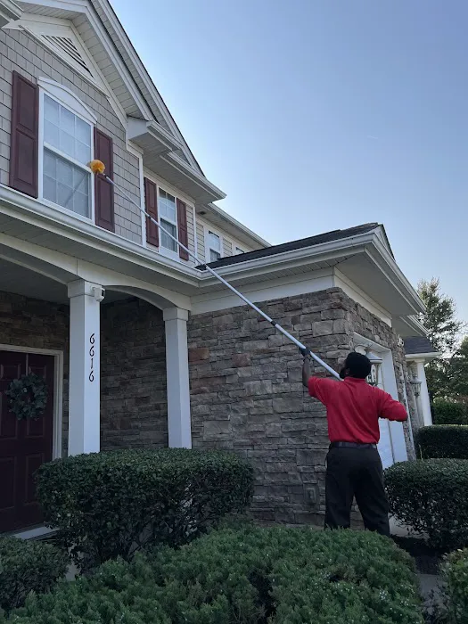 Go-Forth Pest Control Picture 6