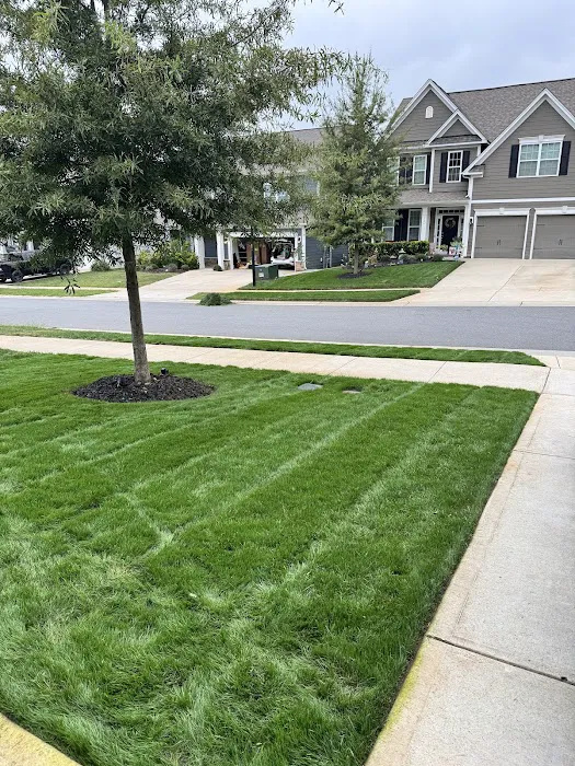 Top Turf Lawn Care and Pest Management Picture 9