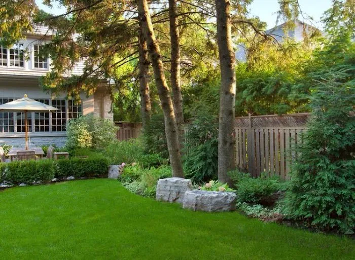 Top Turf Lawn Care and Pest Management Picture 3
