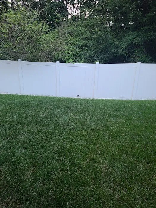 Top Turf Lawn Care and Pest Management Picture 7