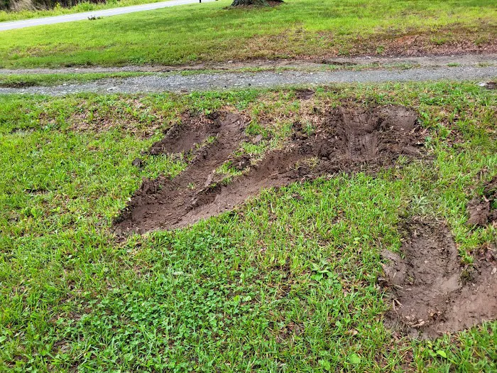 Top Turf Lawn Care and Pest Management Picture 10