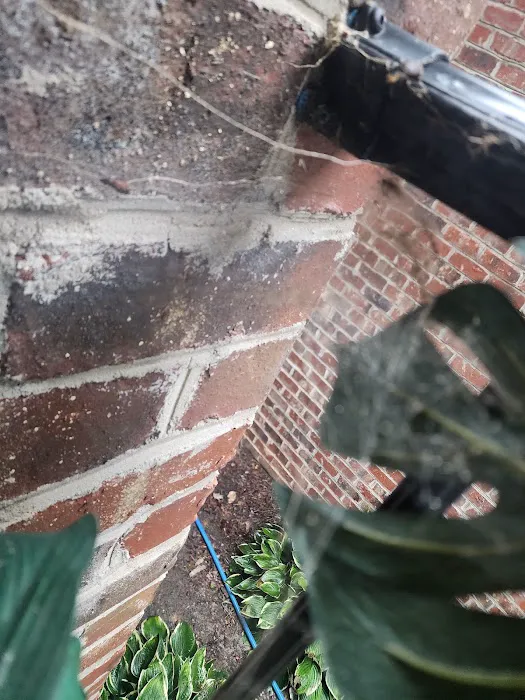 Moxie Pest Control Picture 9