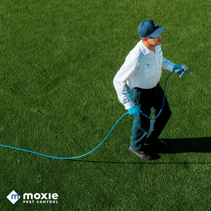Moxie Pest Control Picture 4