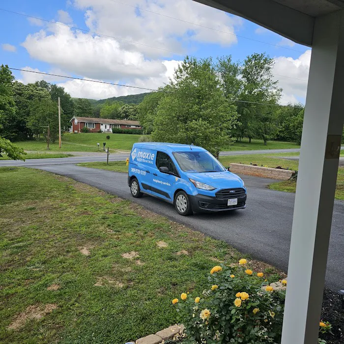 Moxie Pest Control Picture 10