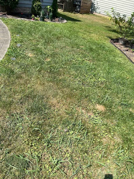 Hawx Pest Control Picture 6