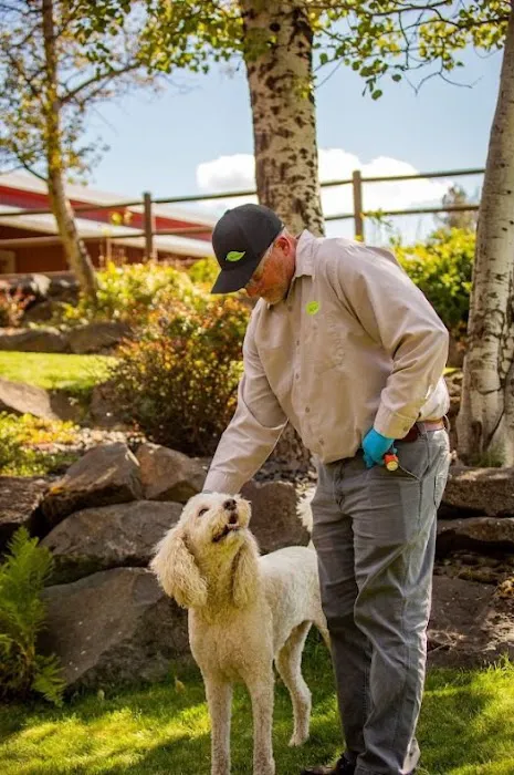 Croach Pest Control Picture 8