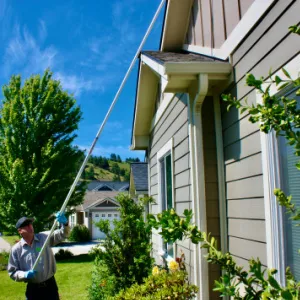 Croach Pest Control Picture 9