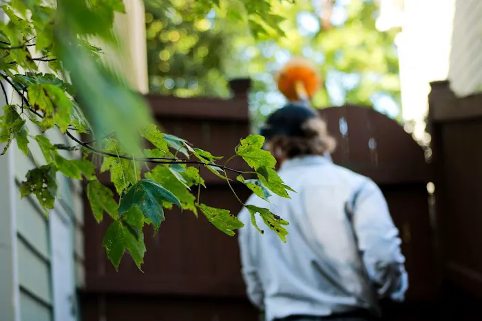 Triangle Pest Control Picture 2