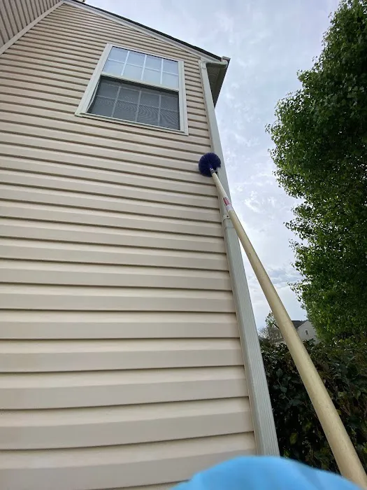 Triangle Pest Control Picture 1