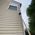 Triangle Pest Control
