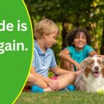 Mosquito Joe of Charlotte