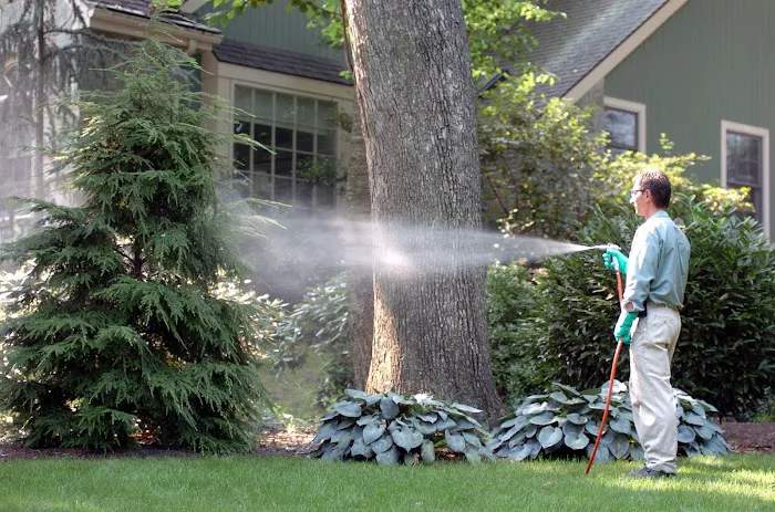 Green Pest Control Picture 3
