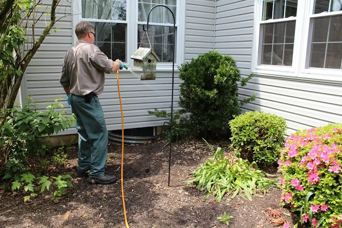 Green Pest Control Picture 7