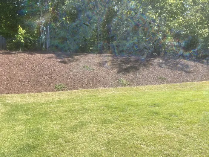 Green Pest Control Picture 9