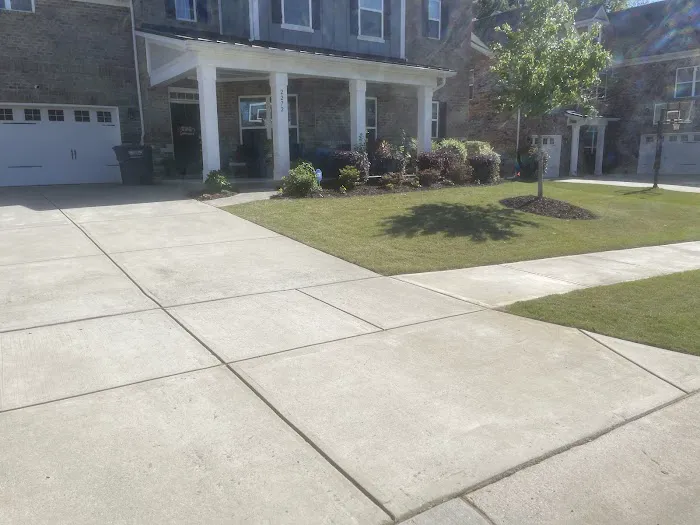 Green Pest Control Picture 10