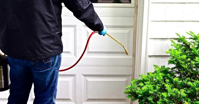 Green Pest Control Picture 6