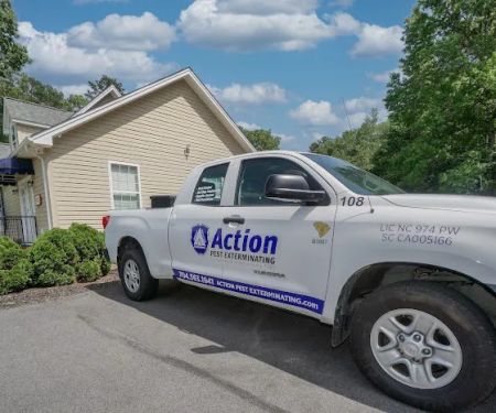 Action Pest Exterminating