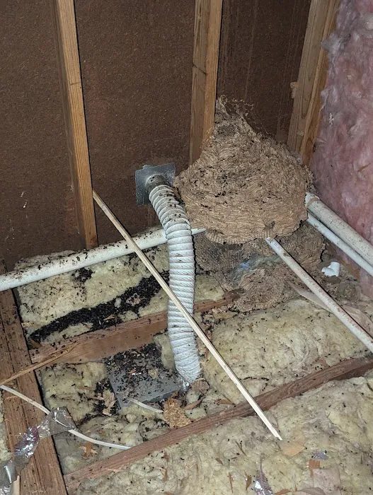 Clegg’s Termite & Pest Control - Charlotte Picture 9