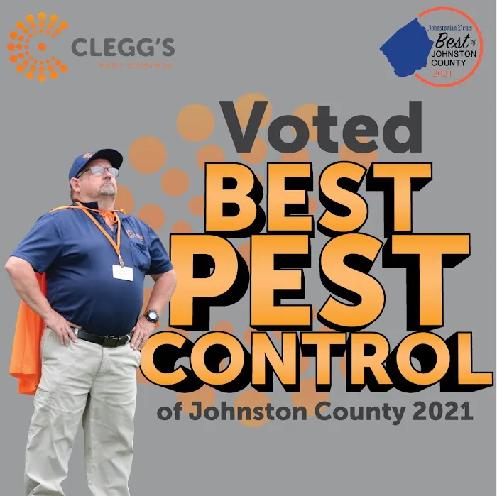 Clegg’s Termite & Pest Control - Charlotte Picture 7