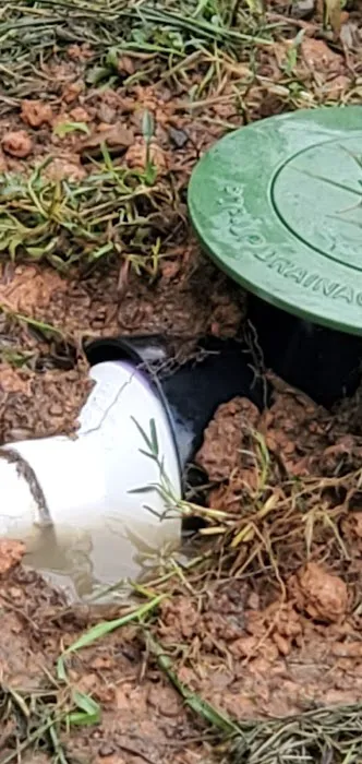 Clegg’s Termite & Pest Control - Charlotte Picture 6