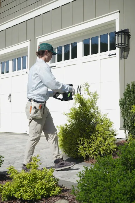 Pine Pest Control Picture 4