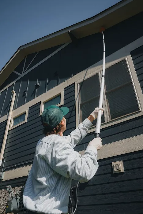 Pine Pest Control Picture 2