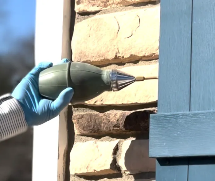 Pine Pest Control Picture 5