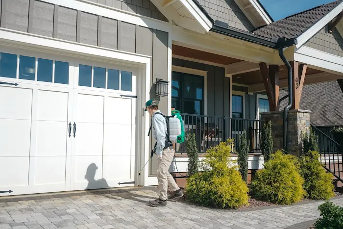 Pine Pest Control Picture 9