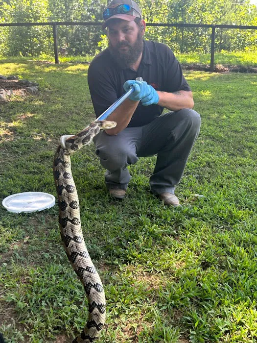 Nelon-Cole Termite & Pest Control Picture 5