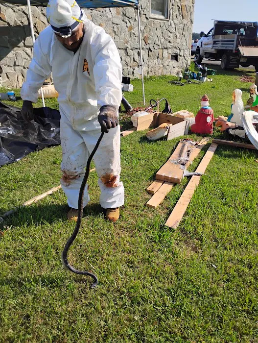 Nelon-Cole Termite & Pest Control Picture 10