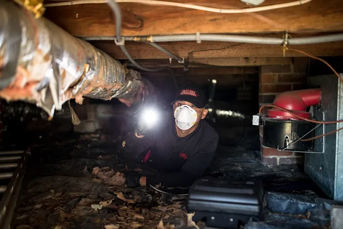 Nelon-Cole Termite & Pest Control Picture 9