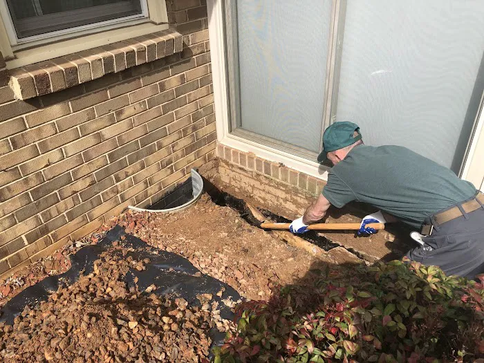 Mr. Pest Control Picture 2