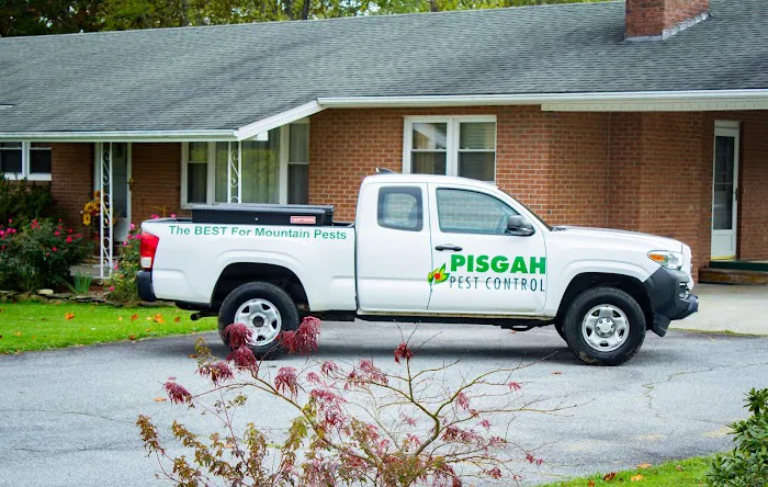 Pisgah Pest Control, Inc - Asheville Picture 8