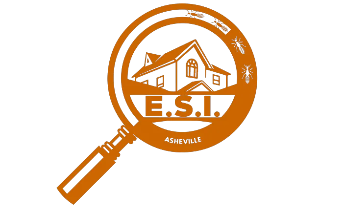 Economy Services Inc Picture 3