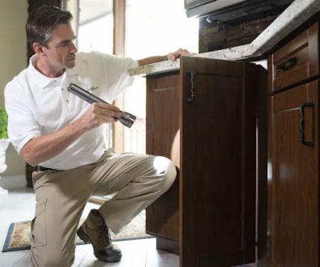 PestMaster of Asheville