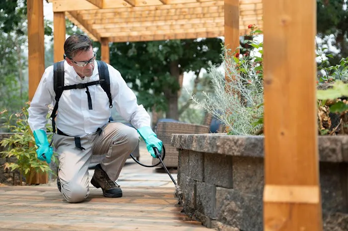 PestMaster of Asheville Picture 10