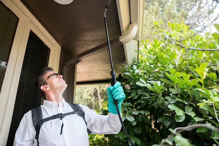 PestMaster of Asheville Picture 5