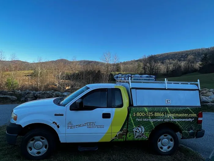 PestMaster of Asheville Picture 4