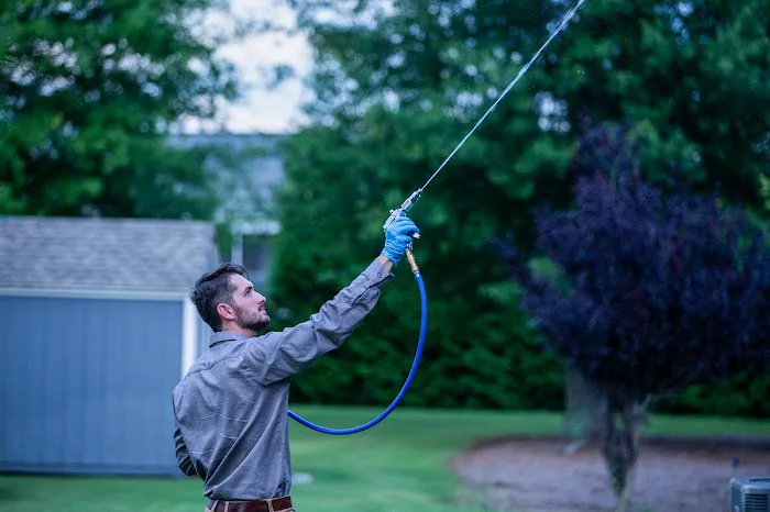 Stonewall Pest Control Picture 5