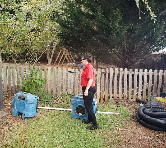Ladybug Pest Solutions Picture 3