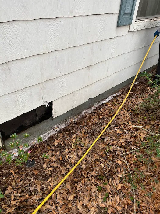 Ladybug Pest Solutions Picture 7