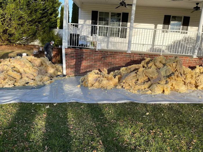 Summit Pest Solutions Picture 8