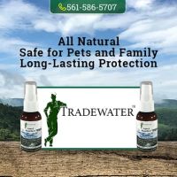 Tradewater ico