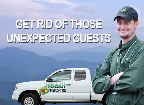 Pisgah Pest Control, Inc - Brevard Picture 1