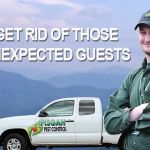 Pisgah Pest Control, Inc - Brevard