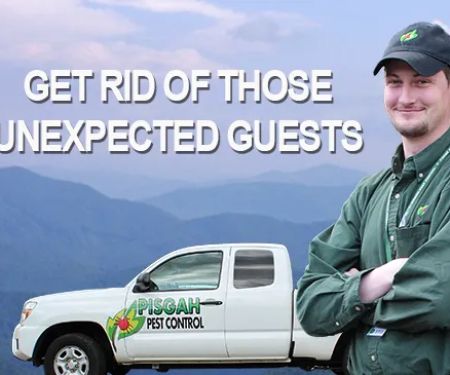 Pisgah Pest Control, Inc - Brevard