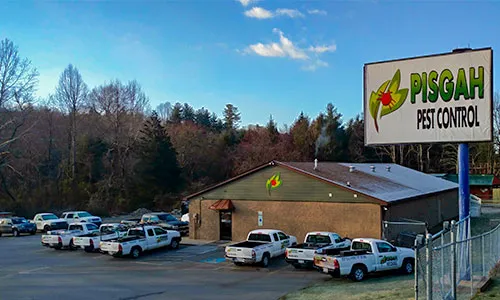 Pisgah Pest Control, Inc - Brevard Picture 6