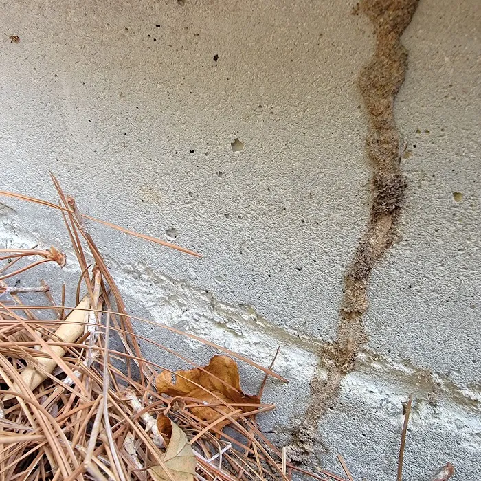 Healthy Home Pest Control, LLC Picture 4