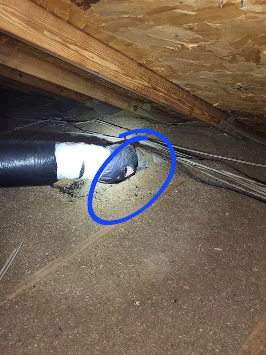 Healthy Home Pest Control, LLC Picture 9