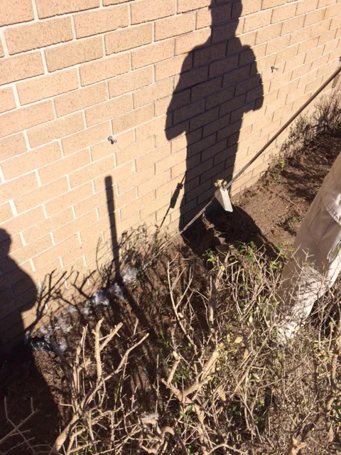 Eastland Pest Control Picture 8